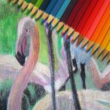 Creioane colorate - Desene în creioane colorate